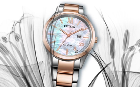 蘇州市西鐵城手表維修服務